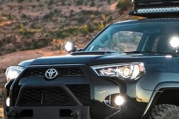 2019 Complete Catalog (15.2Mb)