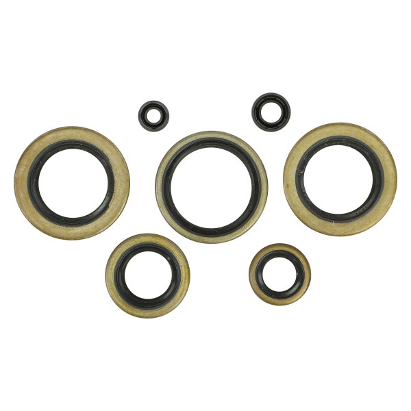 Winderosa® - Oil Seal Kit