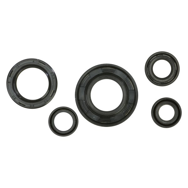 Winderosa® - Oil Seal Kit