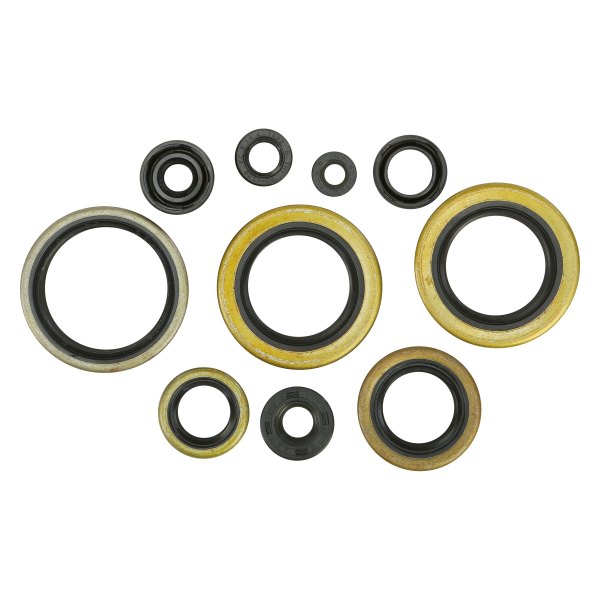 Winderosa® - Oil Seal Kit