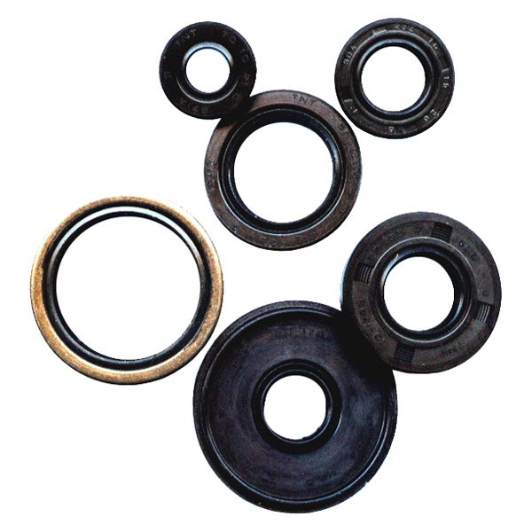 Winderosa® - Oil Seal Kit