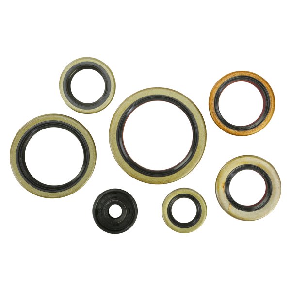 Winderosa® - Oil Seal Kit