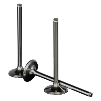 Details about ProX Yamaha YZ450F YZF450 2014-2015 Steel Exhaust Valve & Spring Upgrade Kit Details about ProX Yamaha YZ450F YZF450 2014-2015 Steel Exhaust Valve & Spring Upgrade Kit