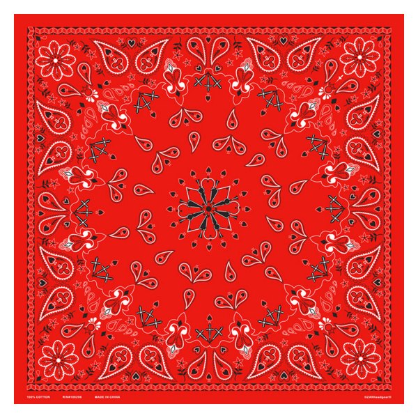ZANheadgear® - Cotton Red Paisley Bandanna (22 X 22 IN, Red Paisley)