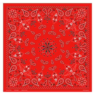 ZANheadgear® - Cotton Red Paisley Bandanna